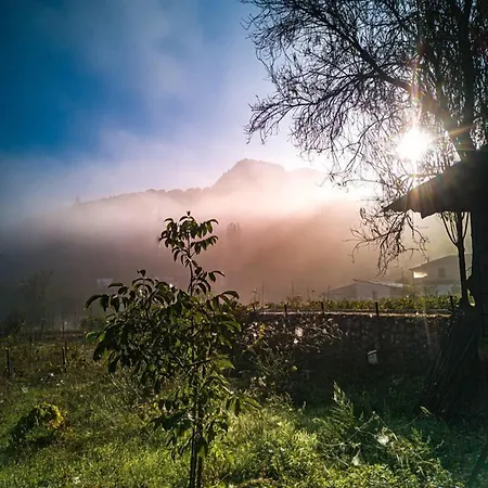 Апарт-отель Alpine Aria