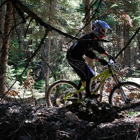 Апарт-отель Alpine Aria 4*