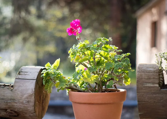 Alpine Aria Kalavryta