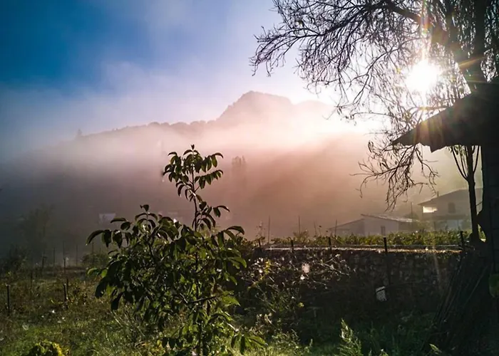 Aparthotel Alpine Aria