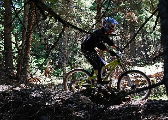 Lejlighedshotel Alpine Aria 4*