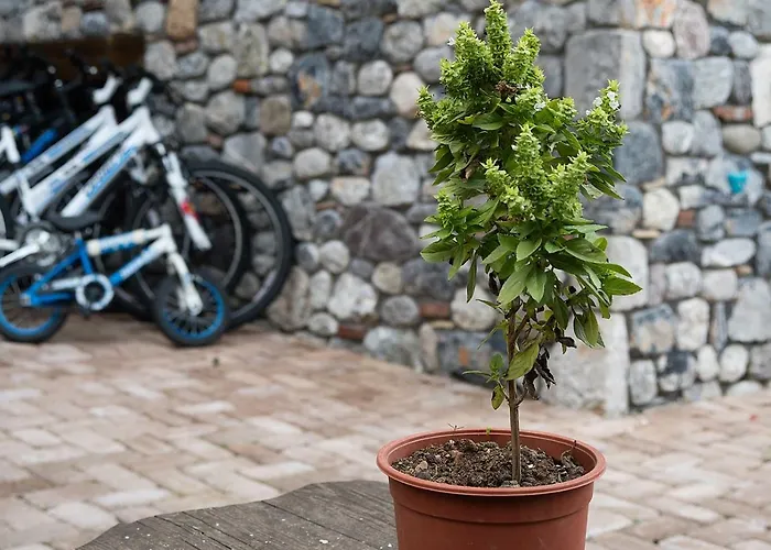 Lejlighedshotel Alpine Aria 4*